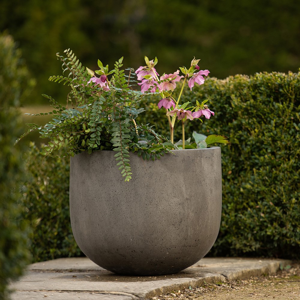 Cement egg pot - waxed