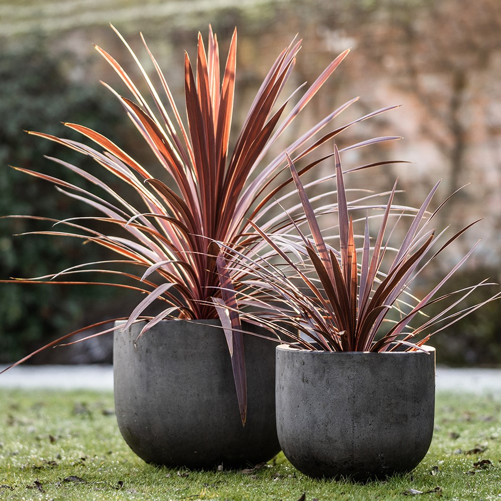 Cement egg pot - waxed