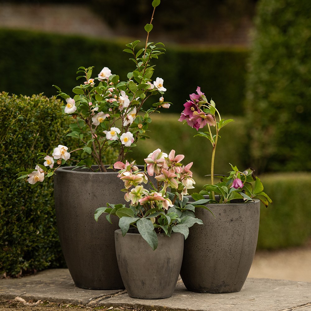 Cement pot - waxed