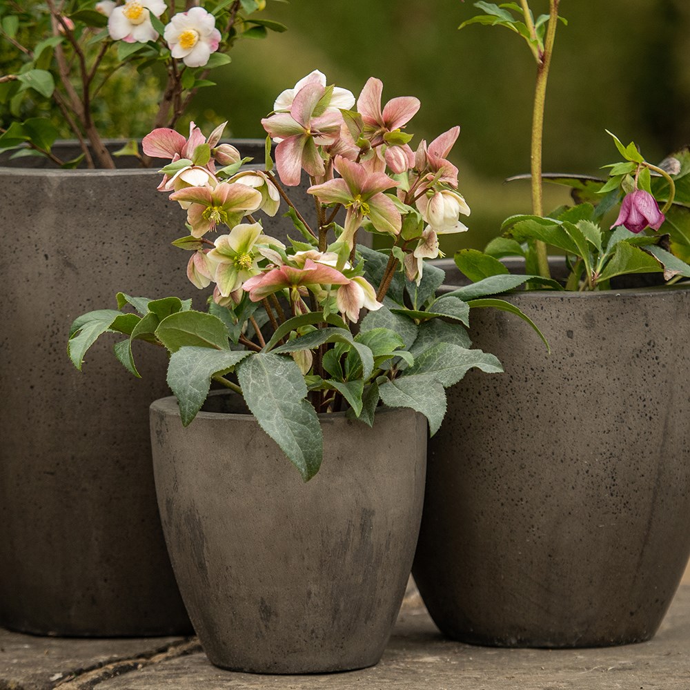 Cement pot - waxed