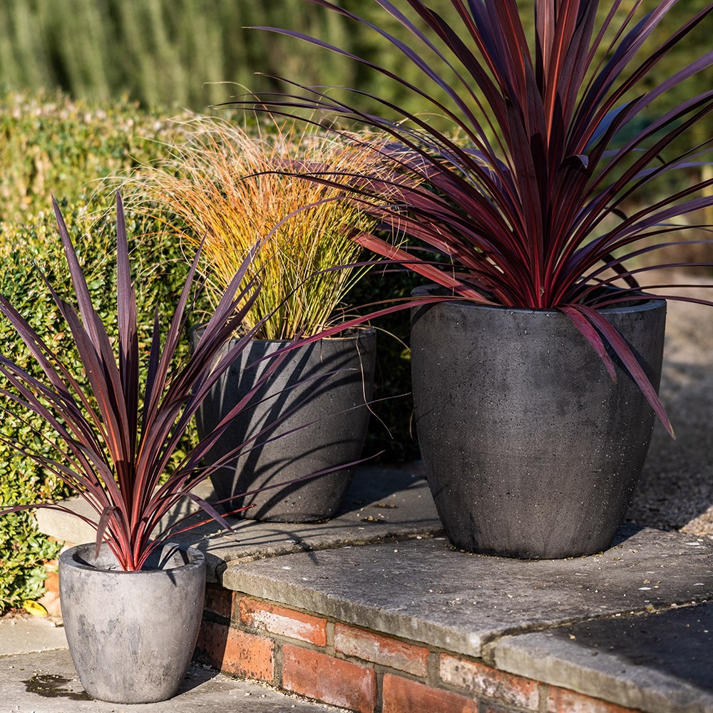 Cement pot - waxed