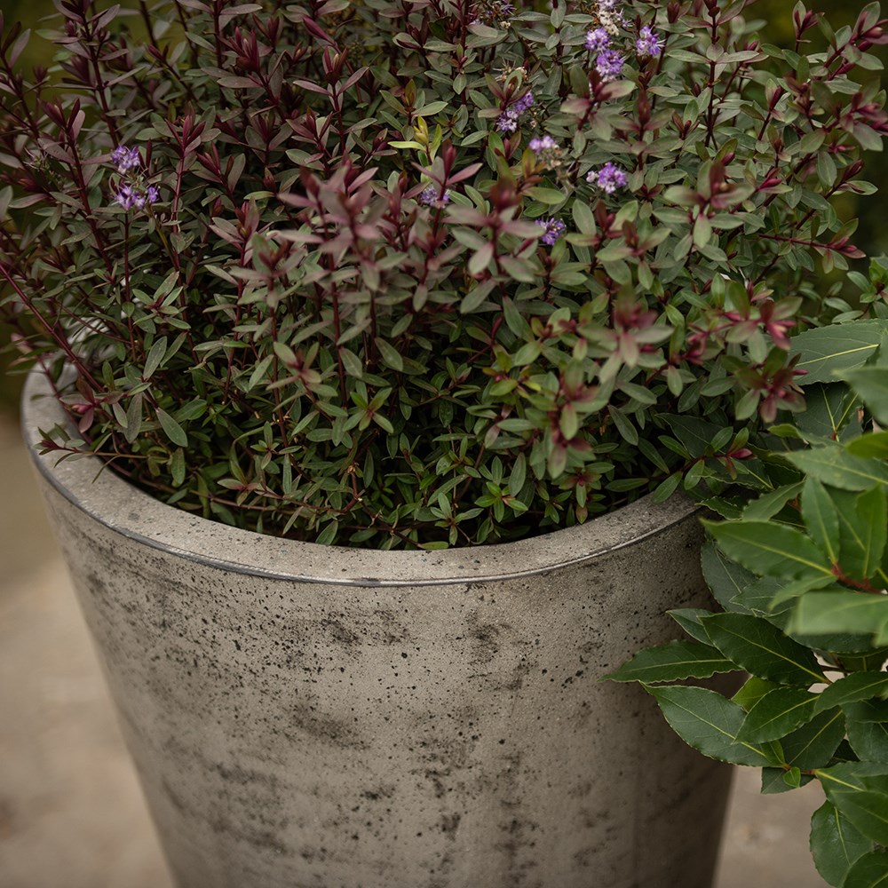 Cement tapered pot - waxed
