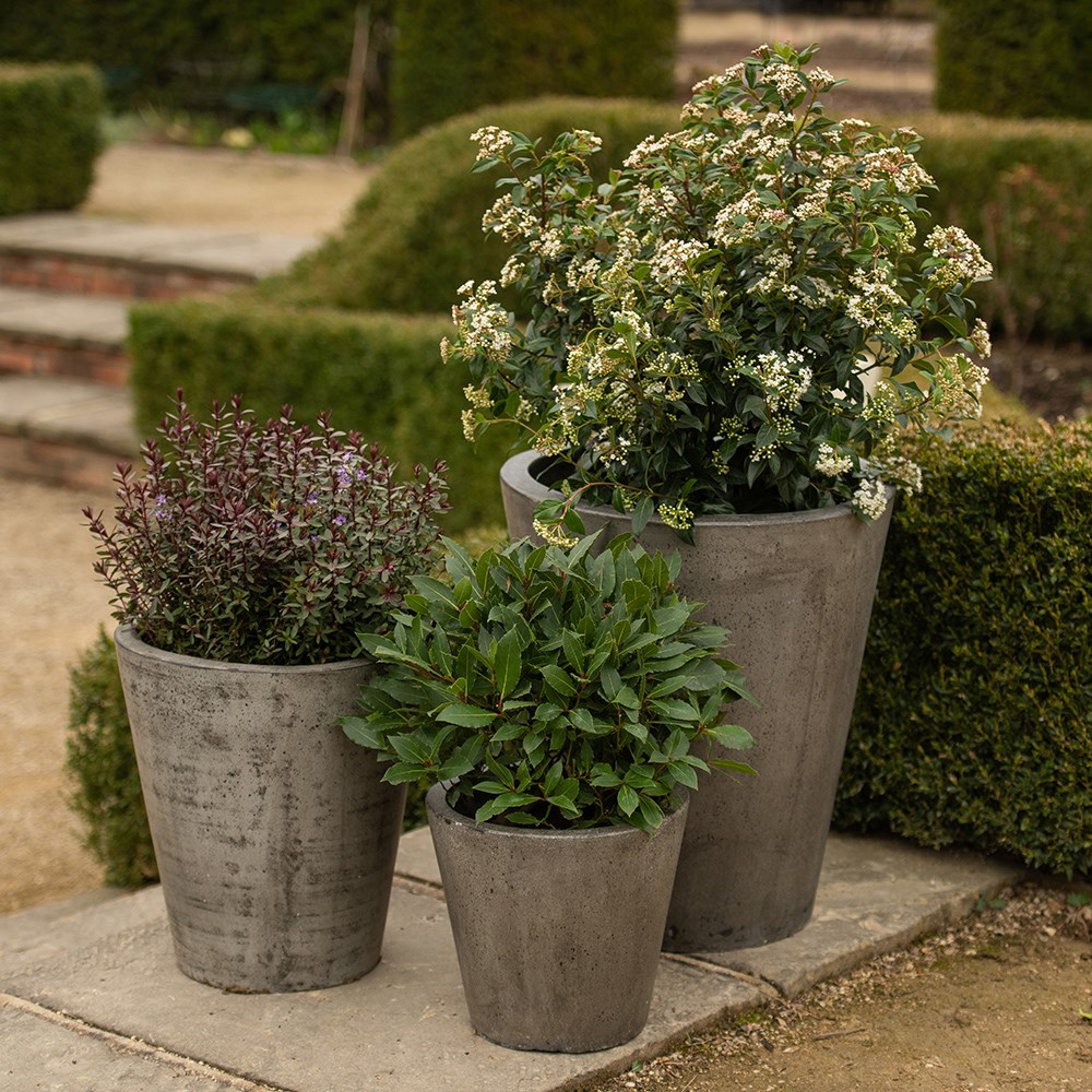 Cement tapered pot - waxed