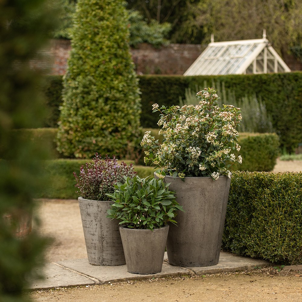 Cement tapered pot - waxed