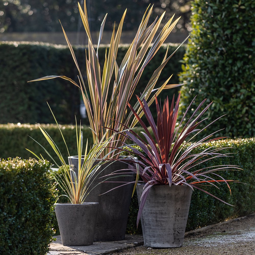 Cement tapered pot - waxed