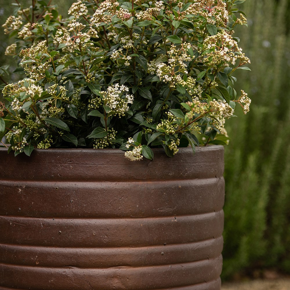 Ribbed terracotta egg pot - burnt