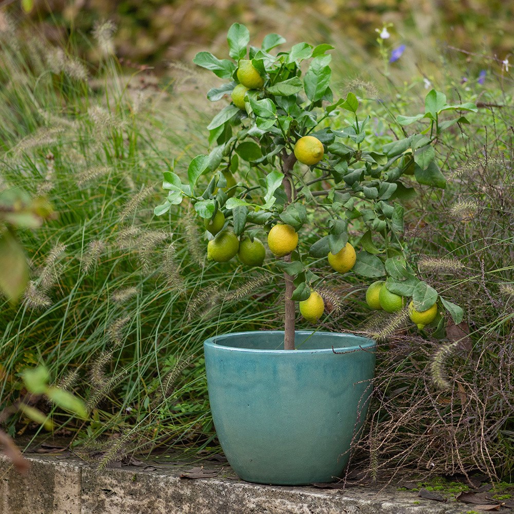 Glazed terracotta pot - aqua blue