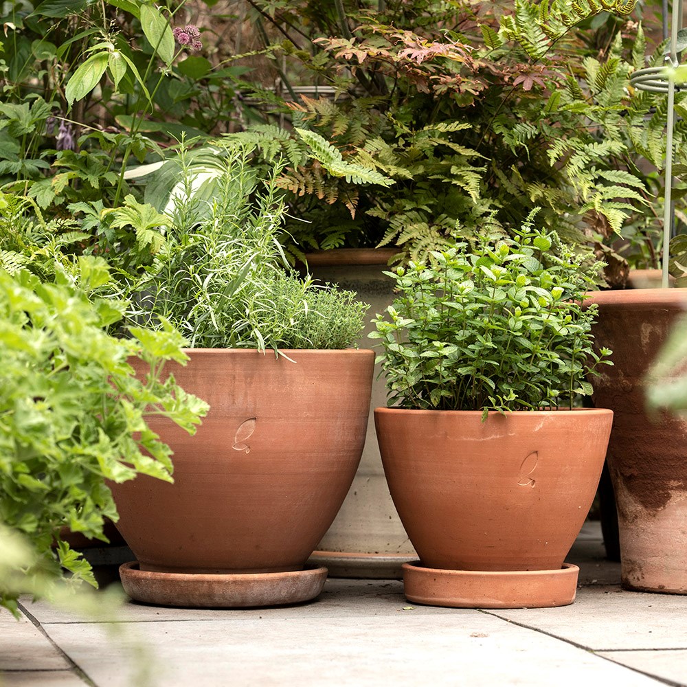 Indoor/outdoor terracotta pot with glazed saucer - large