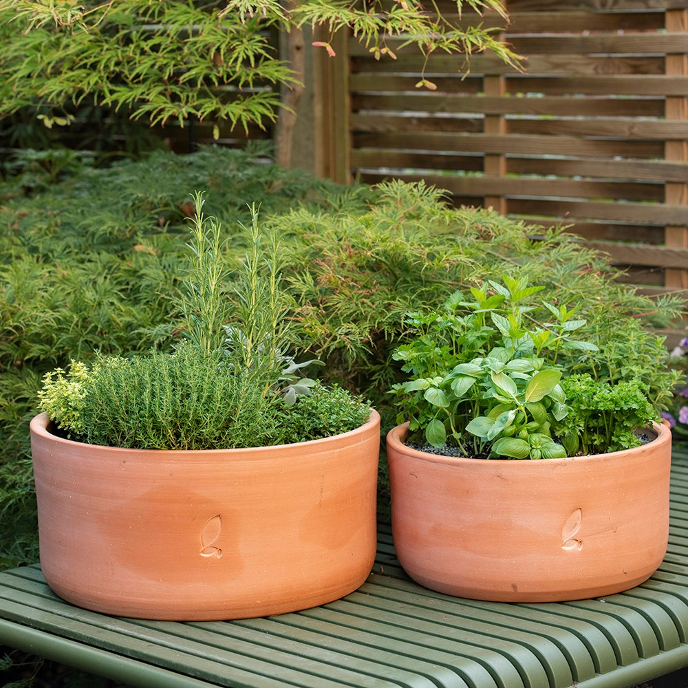 Terracotta herb bowl - large