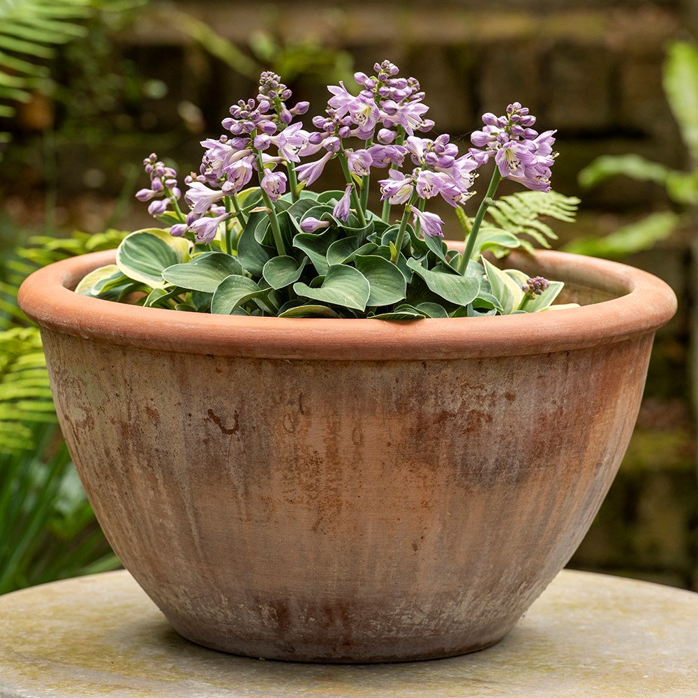 Large terracotta bowl