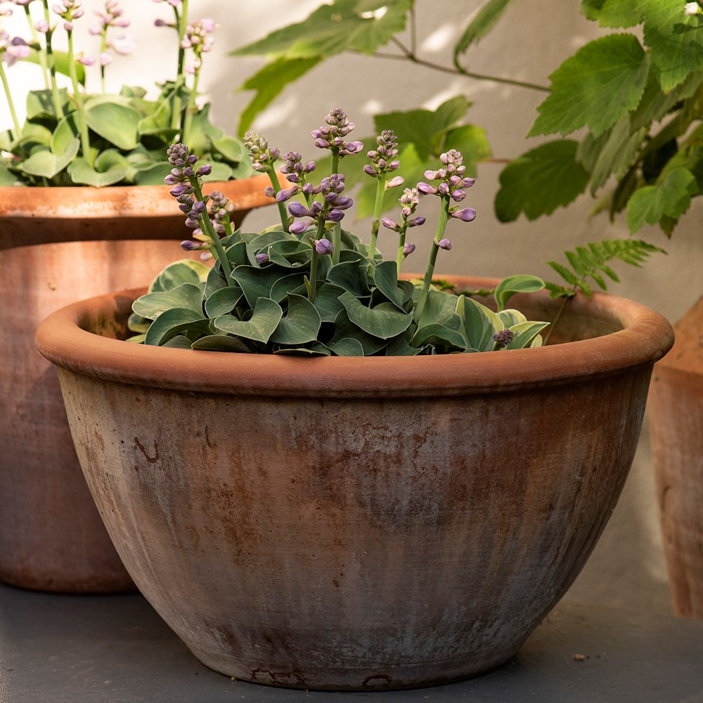 Large terracotta bowl