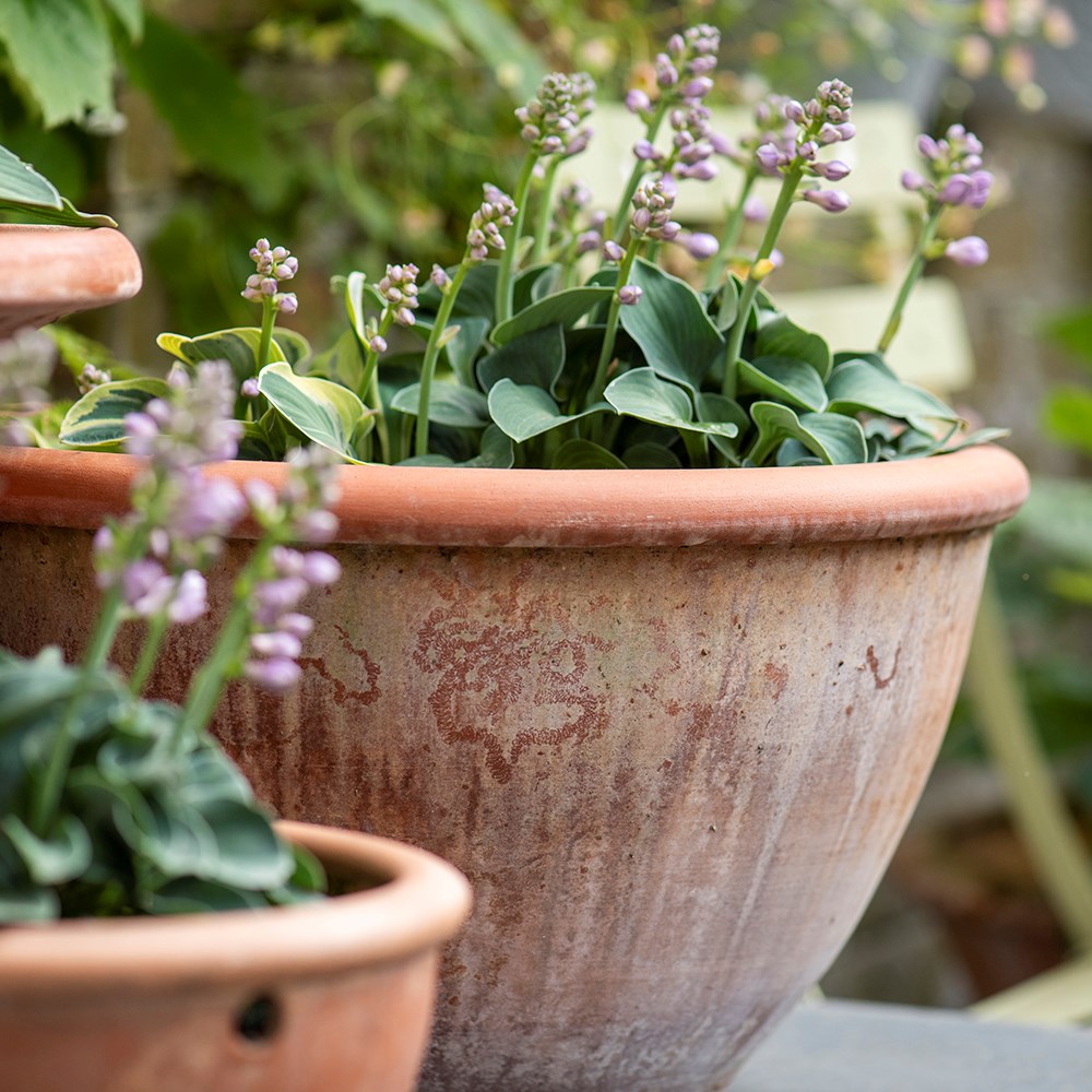 Large terracotta bowl