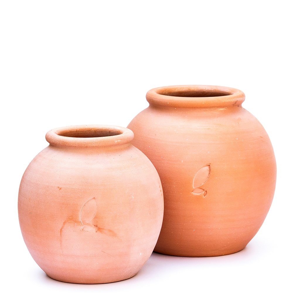 Terracotta Erigeron pot - small