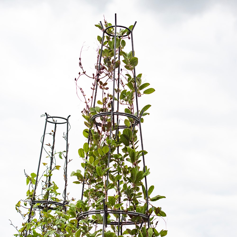 Multi purpose obelisk/plant support set - gunmetal grey