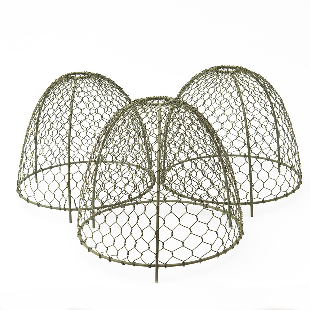Large wire cloches Crocus green - set of 3