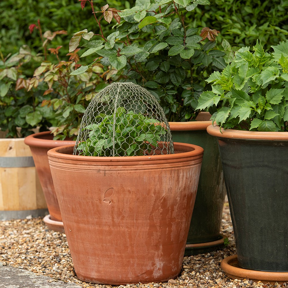 Large wire cloches Crocus green - set of 3