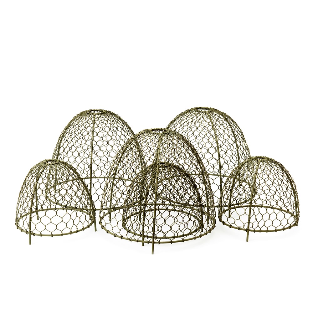 Large wire cloches Crocus green - set of 3