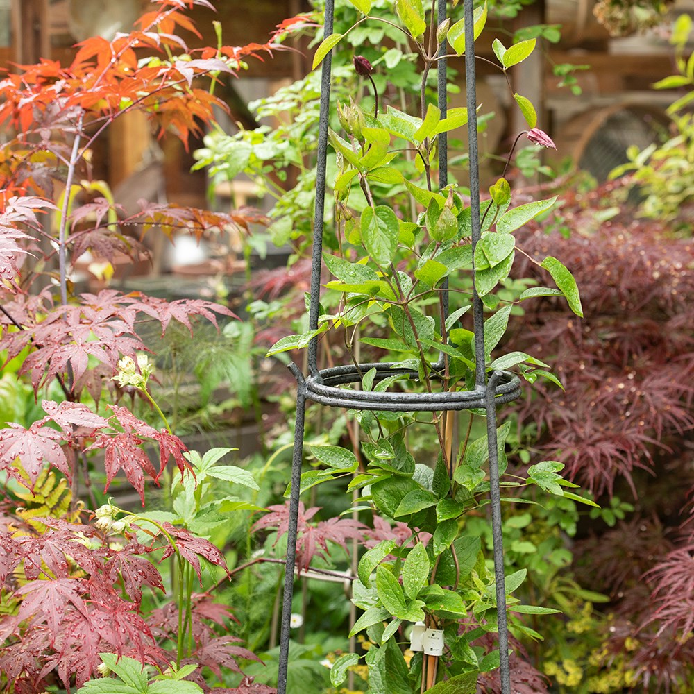 Pot obelisk - gunmetal grey