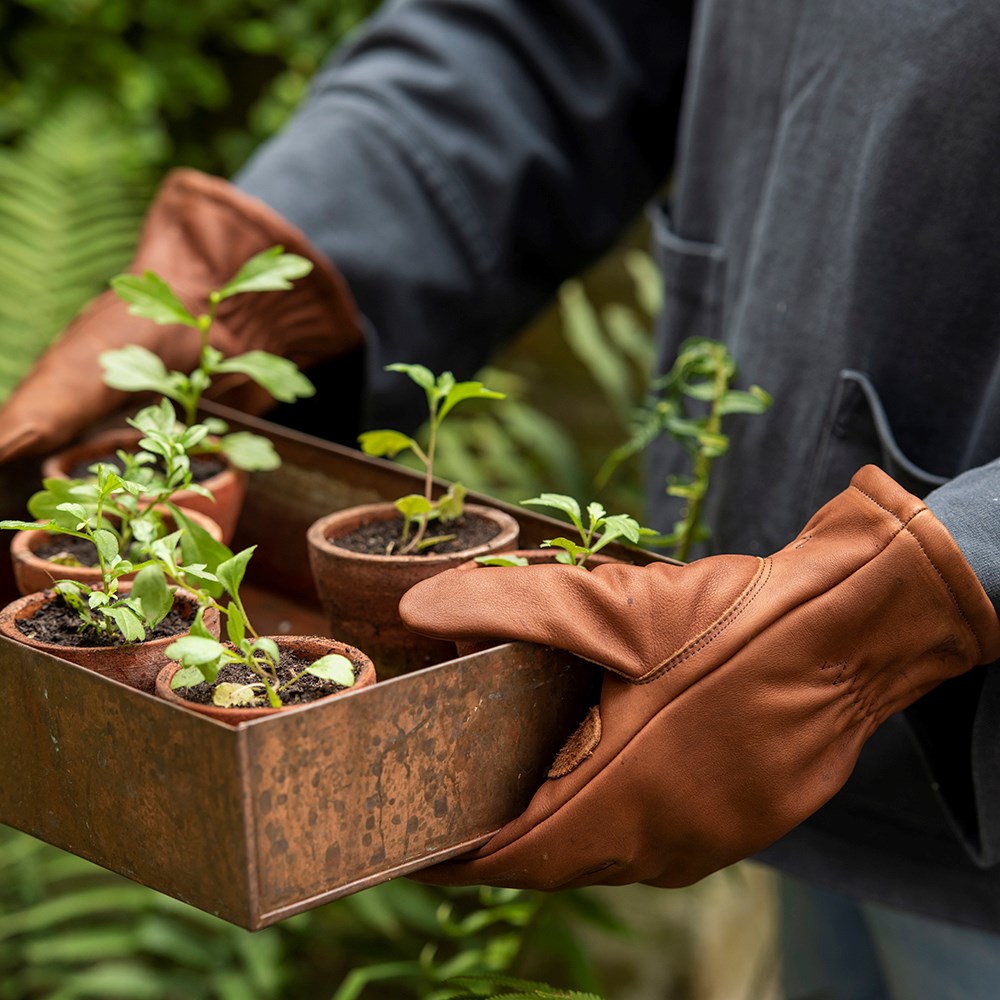 Leather gardening gloves lined - brown