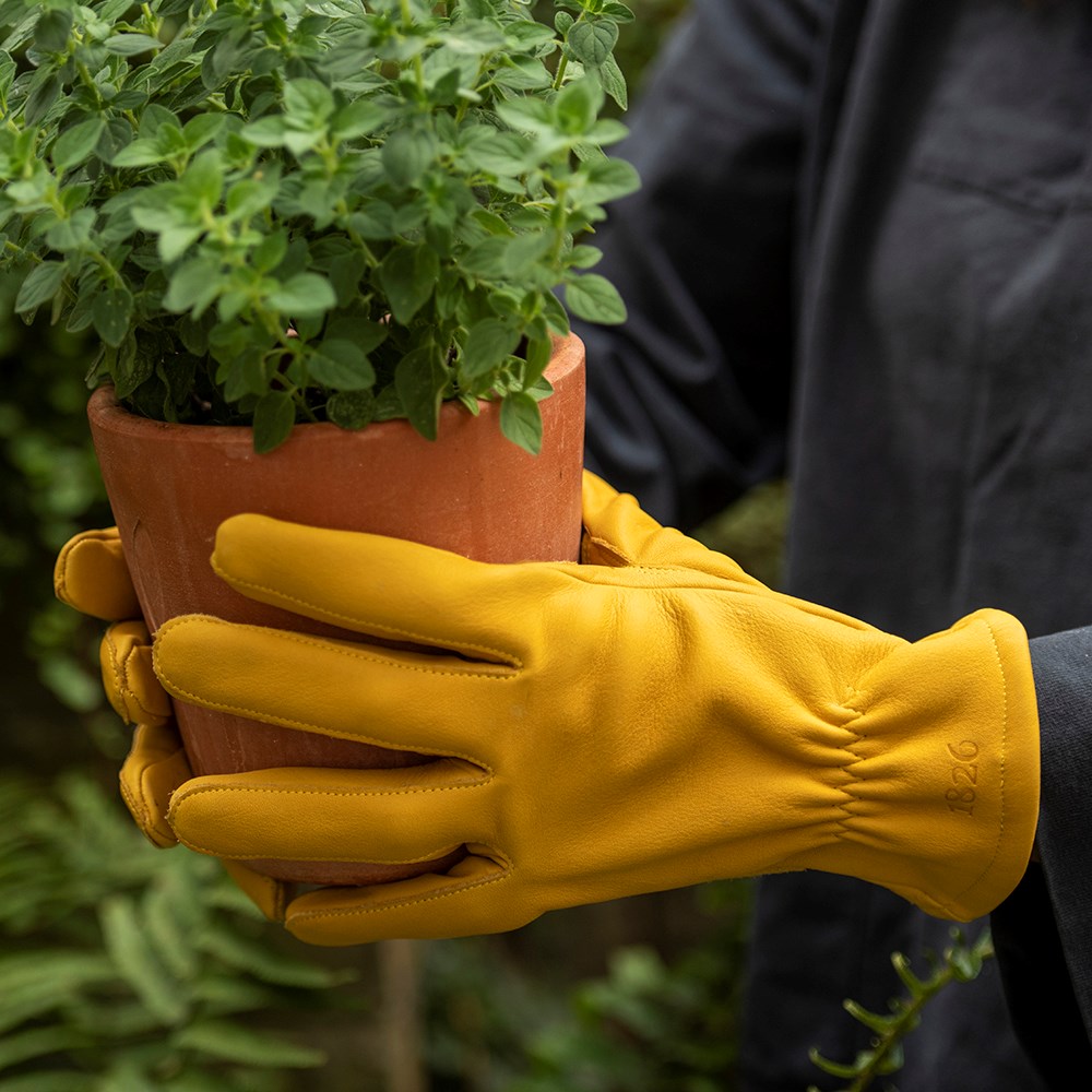 Leather gardening gloves lined - mustard 