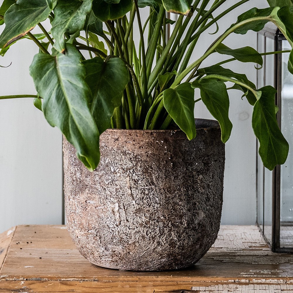 Rustic plant pot - brown
