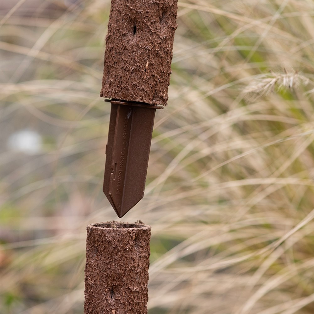 Biodegradable indoor plant support pole with spike