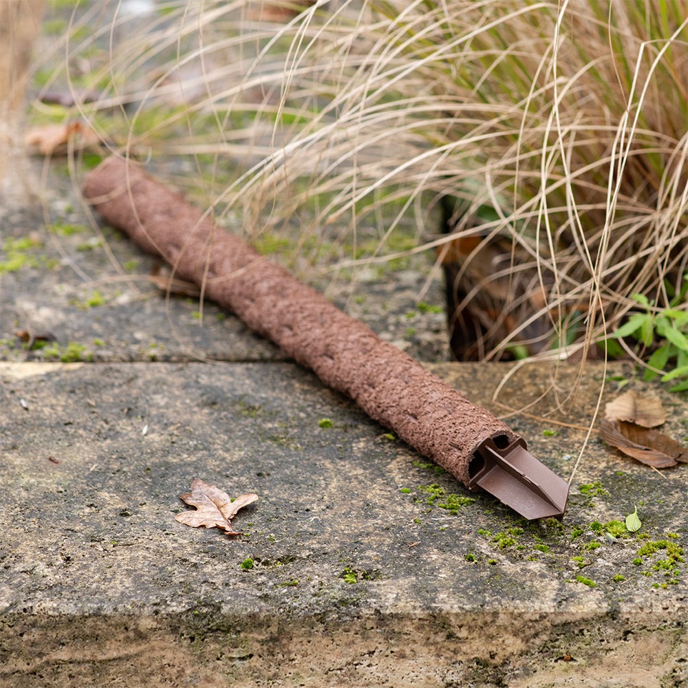 Biodegradable indoor plant support pole with spike