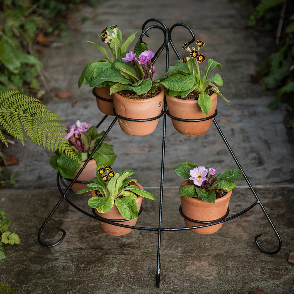 Tiered plant theatre - 6 pots