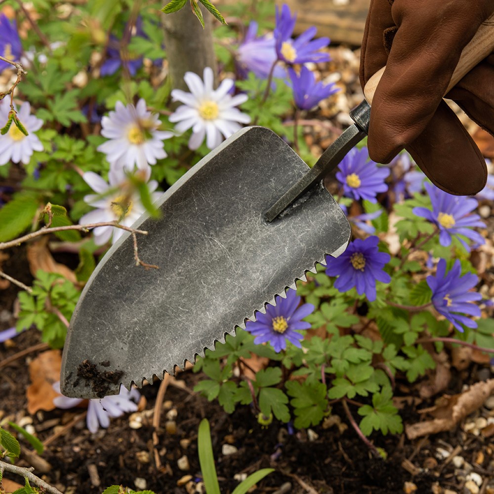 DeWit serrated edge trowel