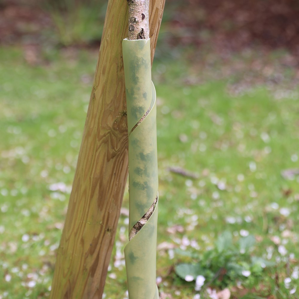 Premium tree planting kit with softwood stake