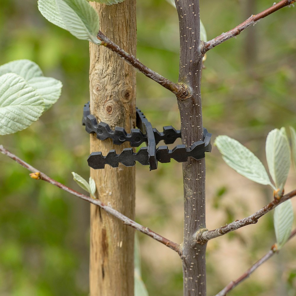 Supersoft tree tie