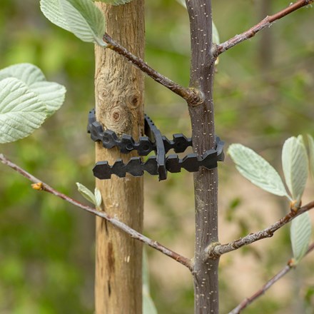 Supersoft tree tie