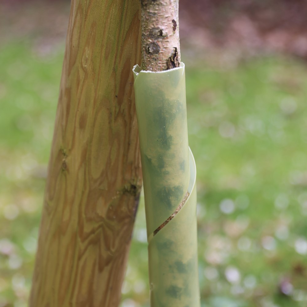 Biodegradable tree guard