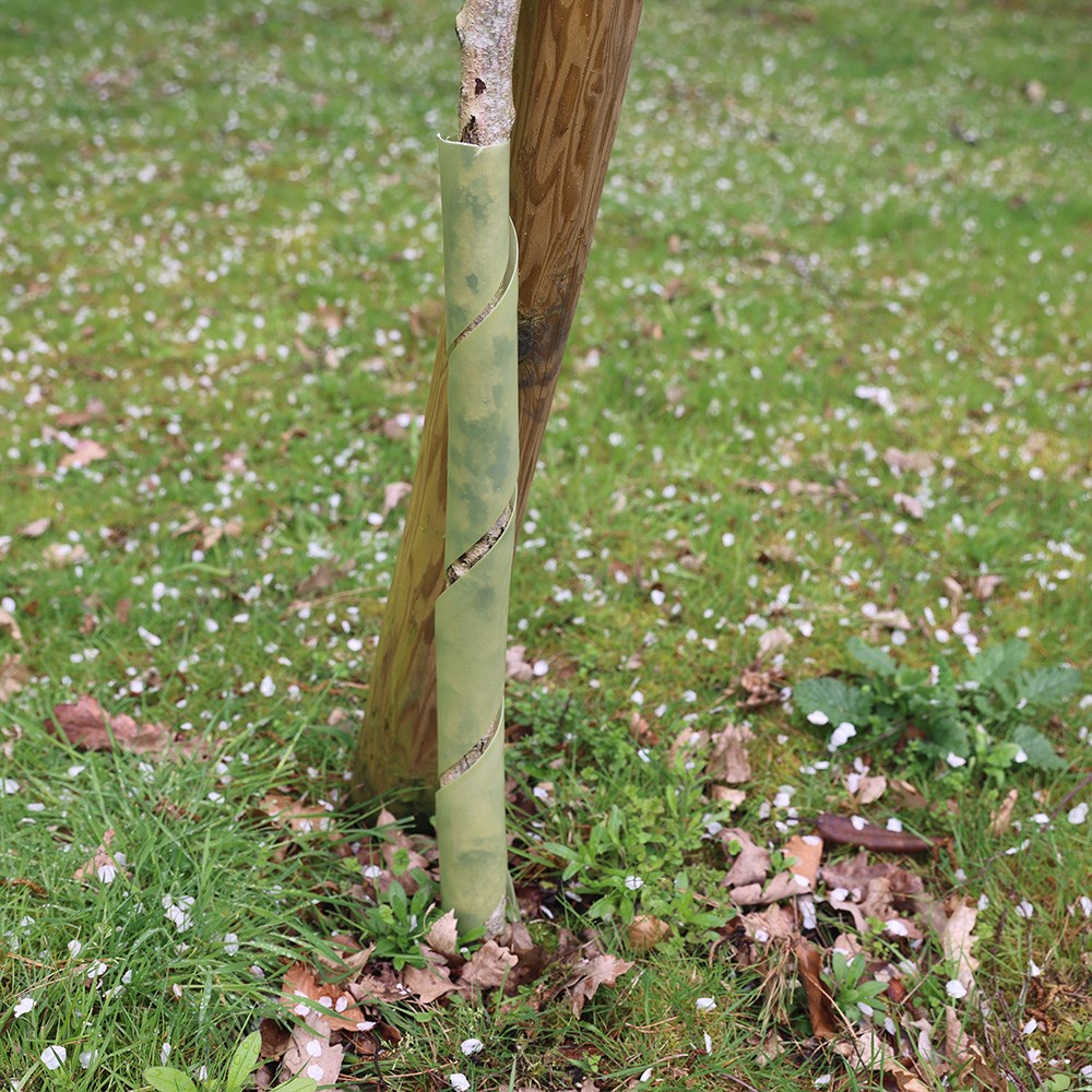 Biodegradable tree guard