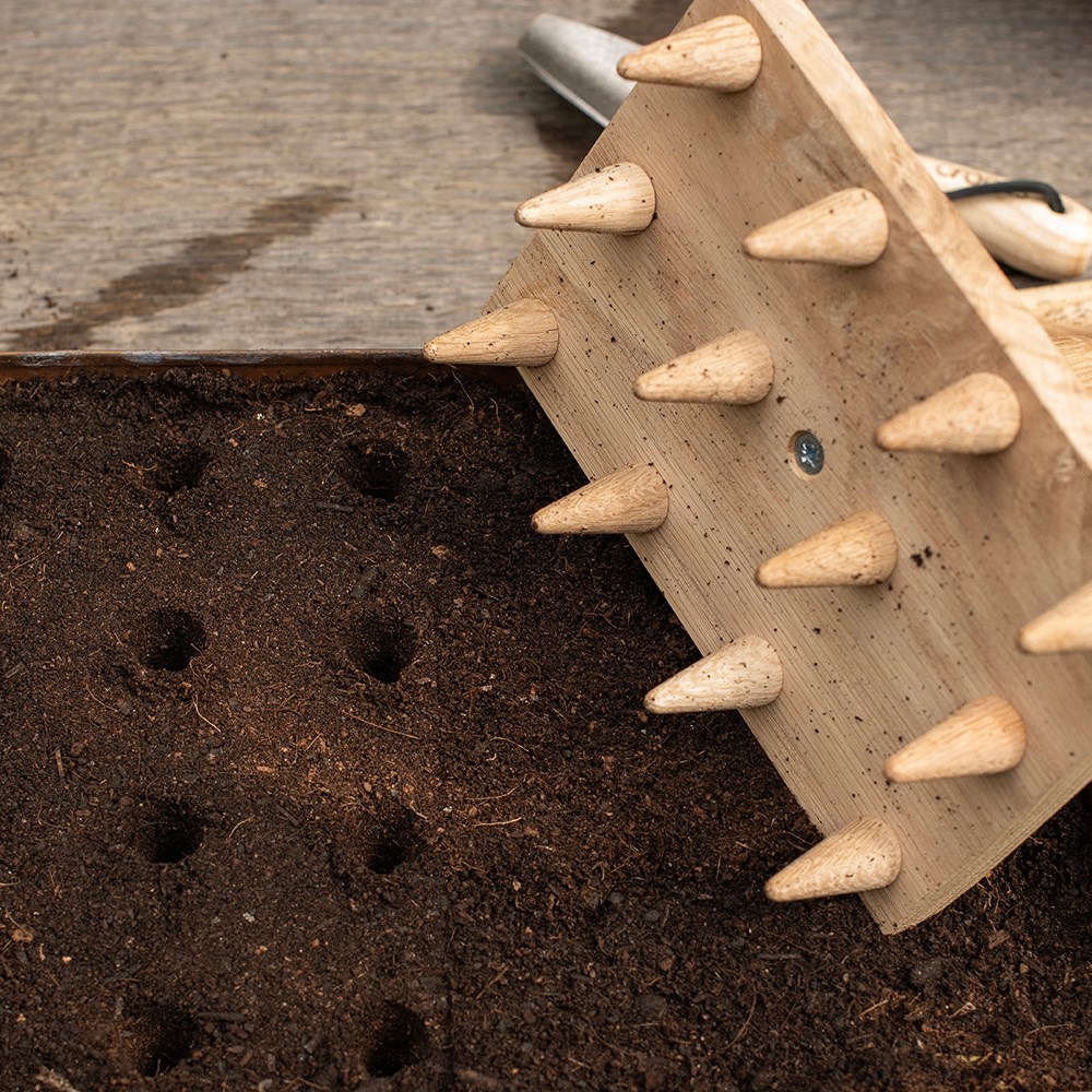 Multi seed tray dibber