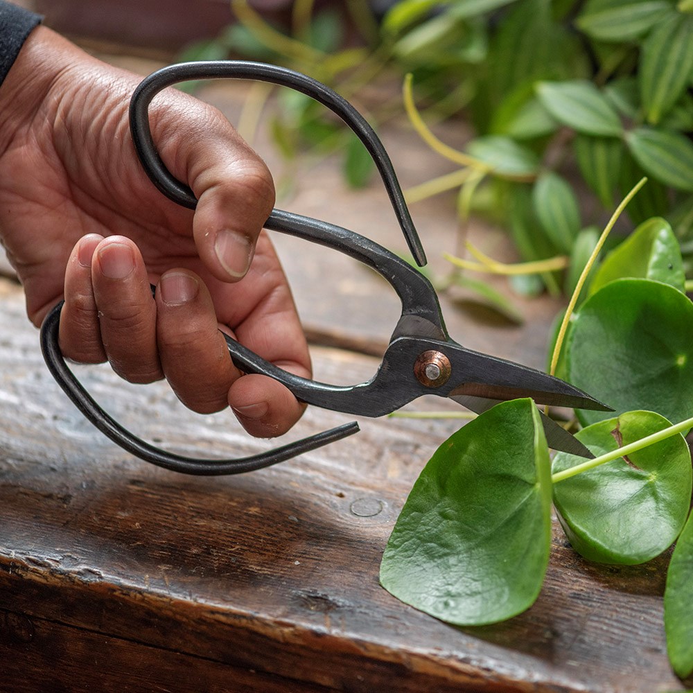 Large steel garden scissors with leather pouch