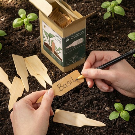 Garden plant labels - box of 60