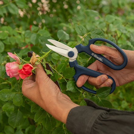 Niwaki sakagen flower scissors