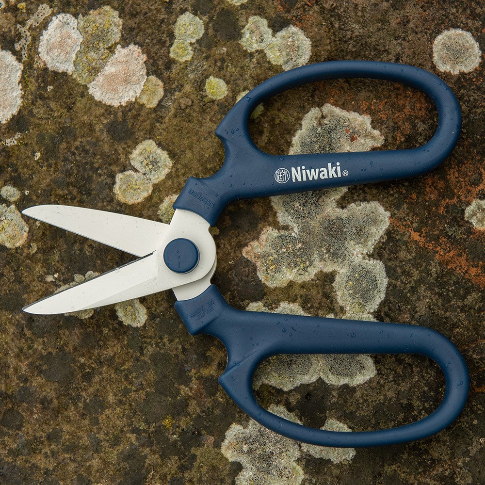 Niwaki sakagen flower scissors