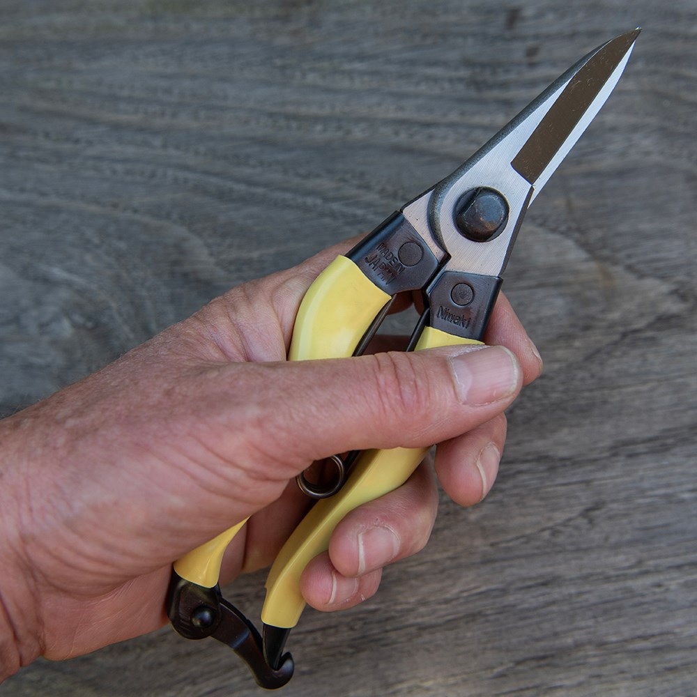 Niwaki mainichi snips