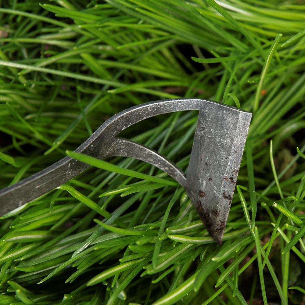 DeWit bio hand hoe 