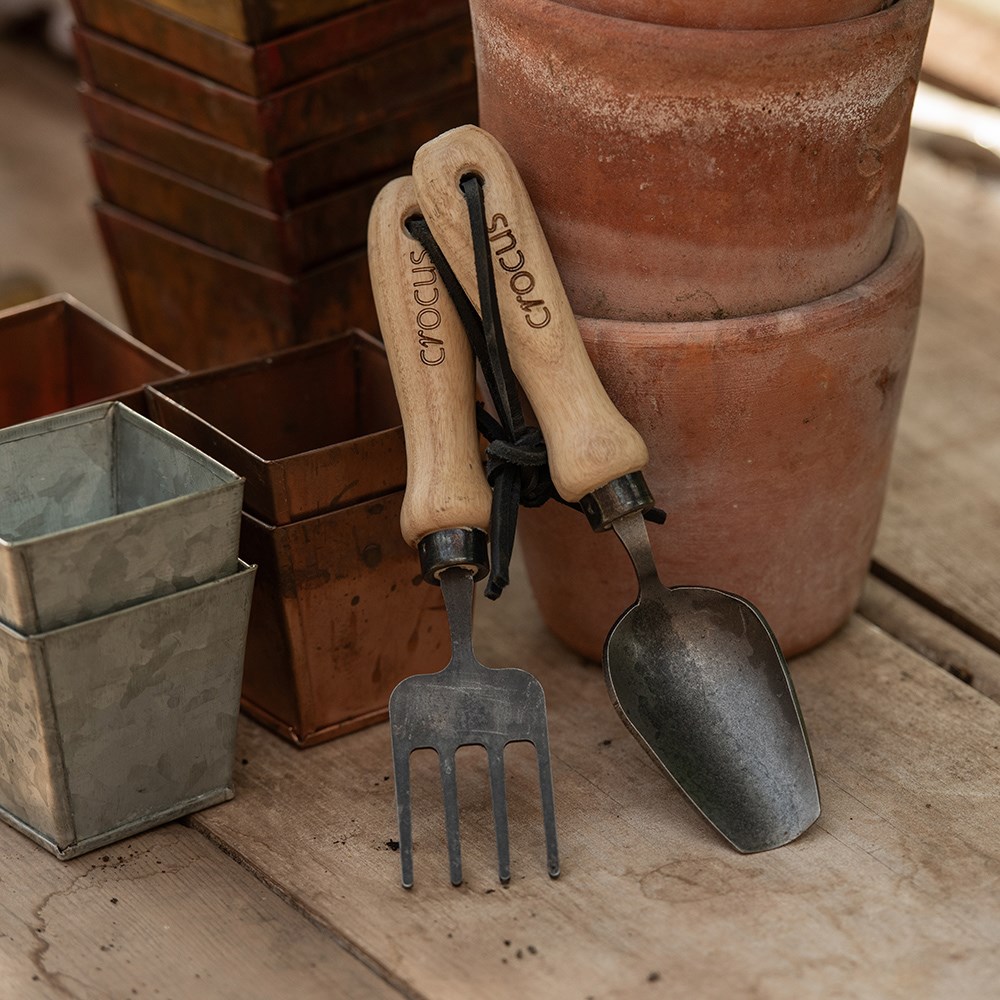 Seedling tools - Crocus by DeWit