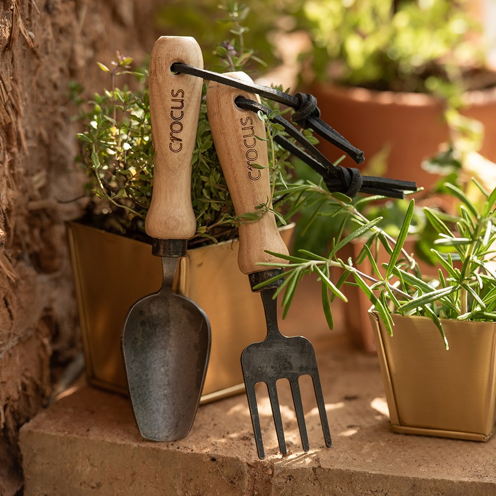 Seedling tools - Crocus by DeWit