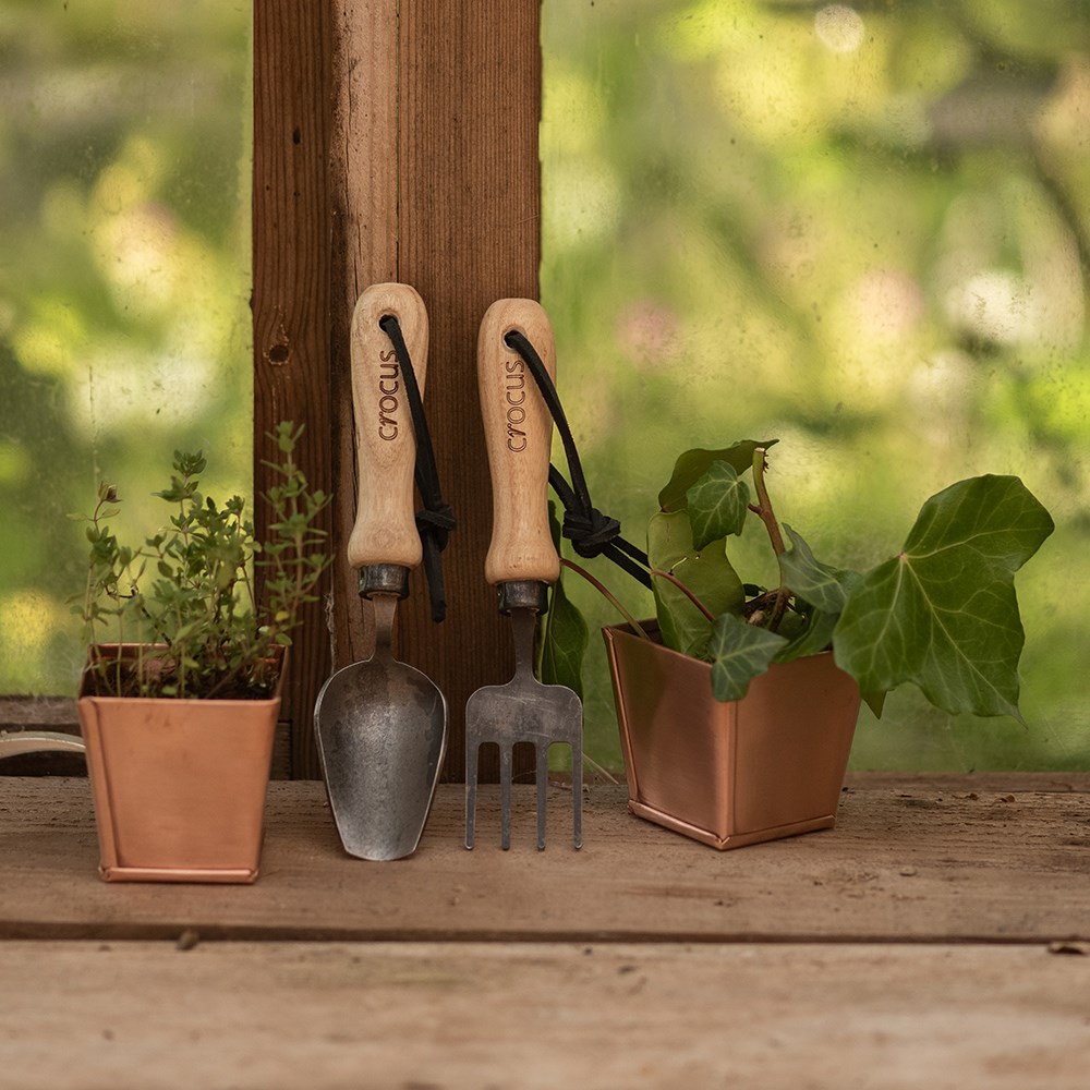 Seedling tools - Crocus by DeWit