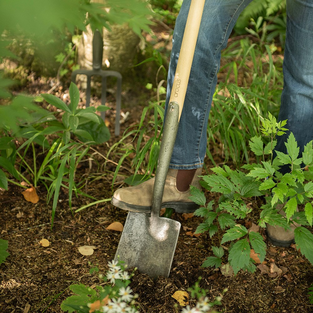 Border spade T handle - Crocus by DeWit