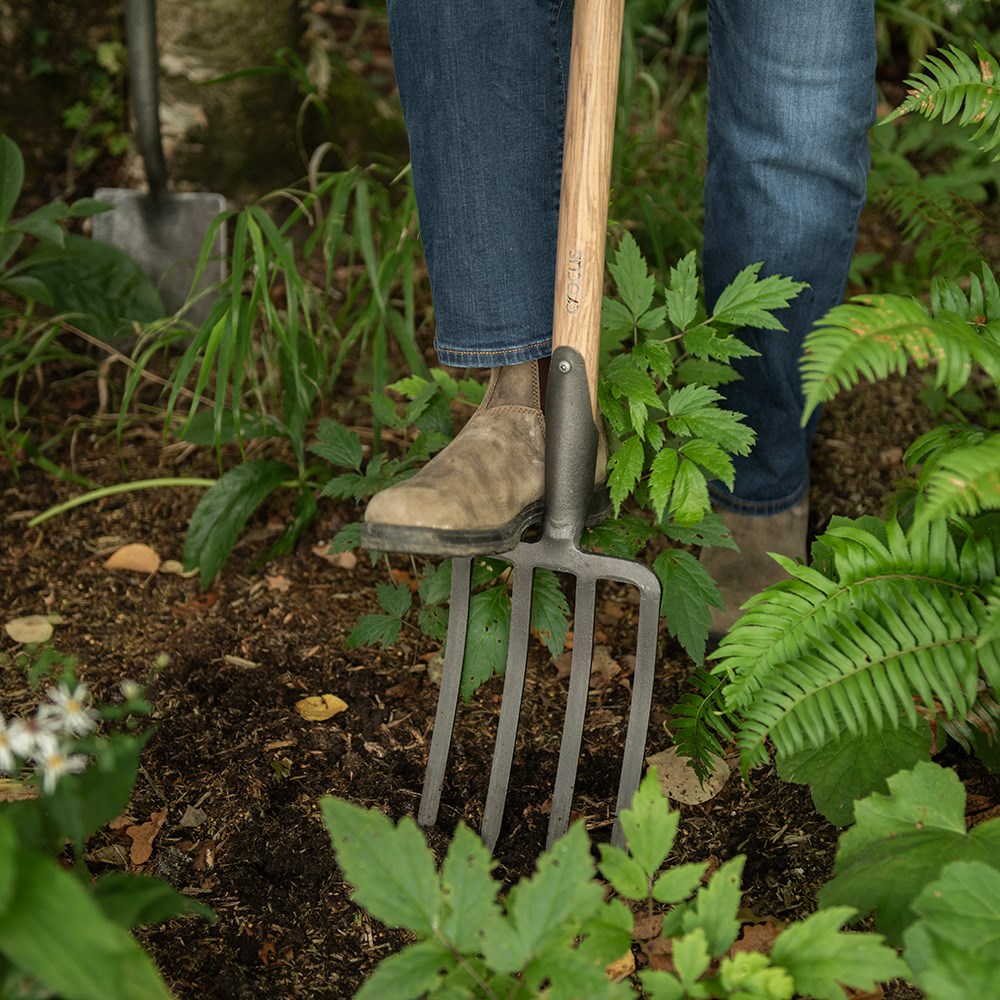 Border fork T handle - Crocus by DeWit