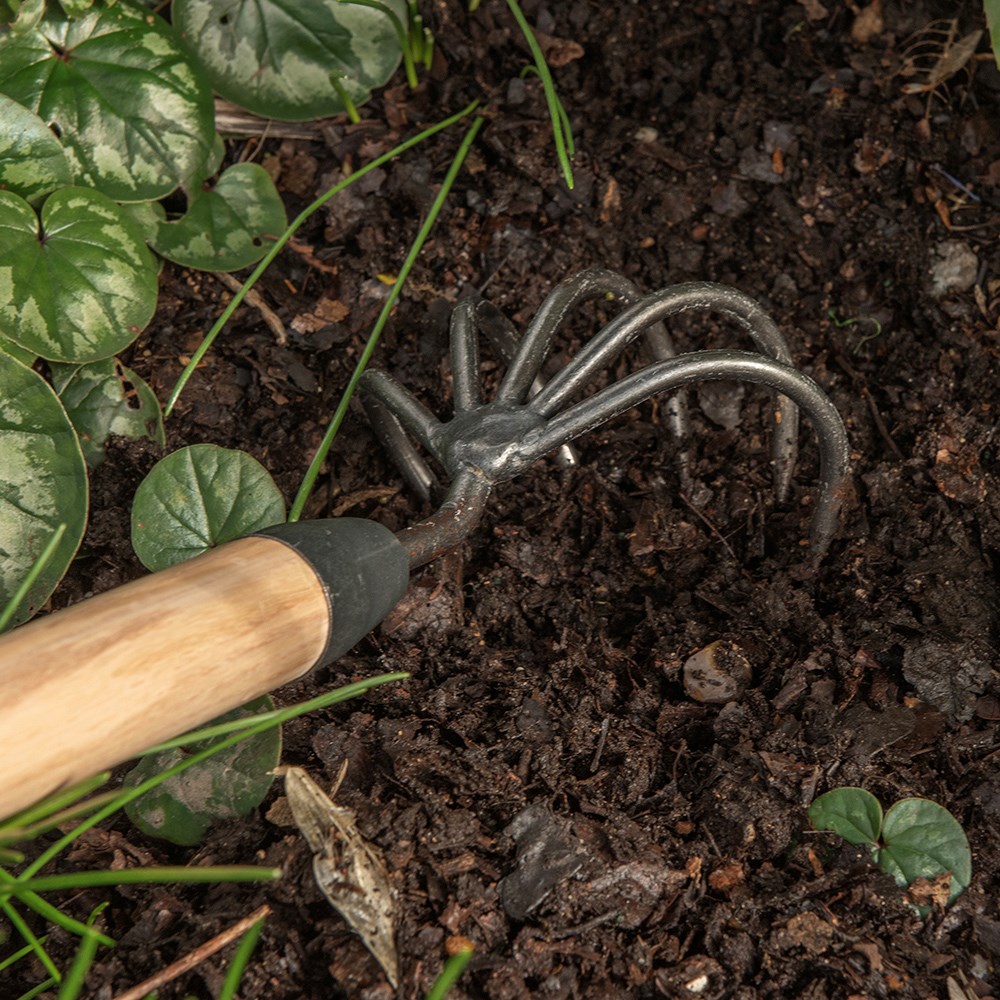 DeWit 5 tine cultivator - long handle