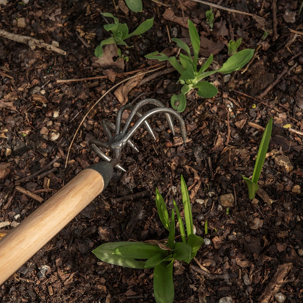 DeWit 5 tine cultivator - long handle