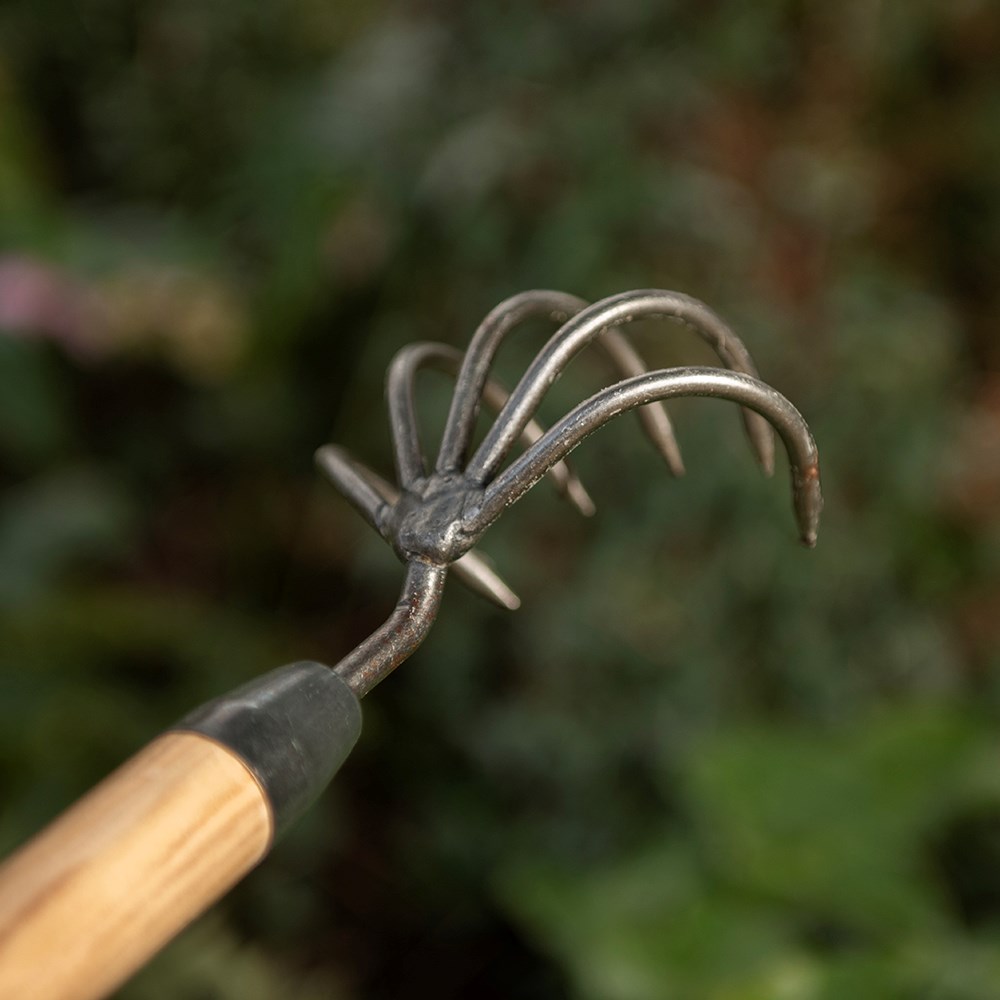 DeWit 5 tine cultivator - long handle
