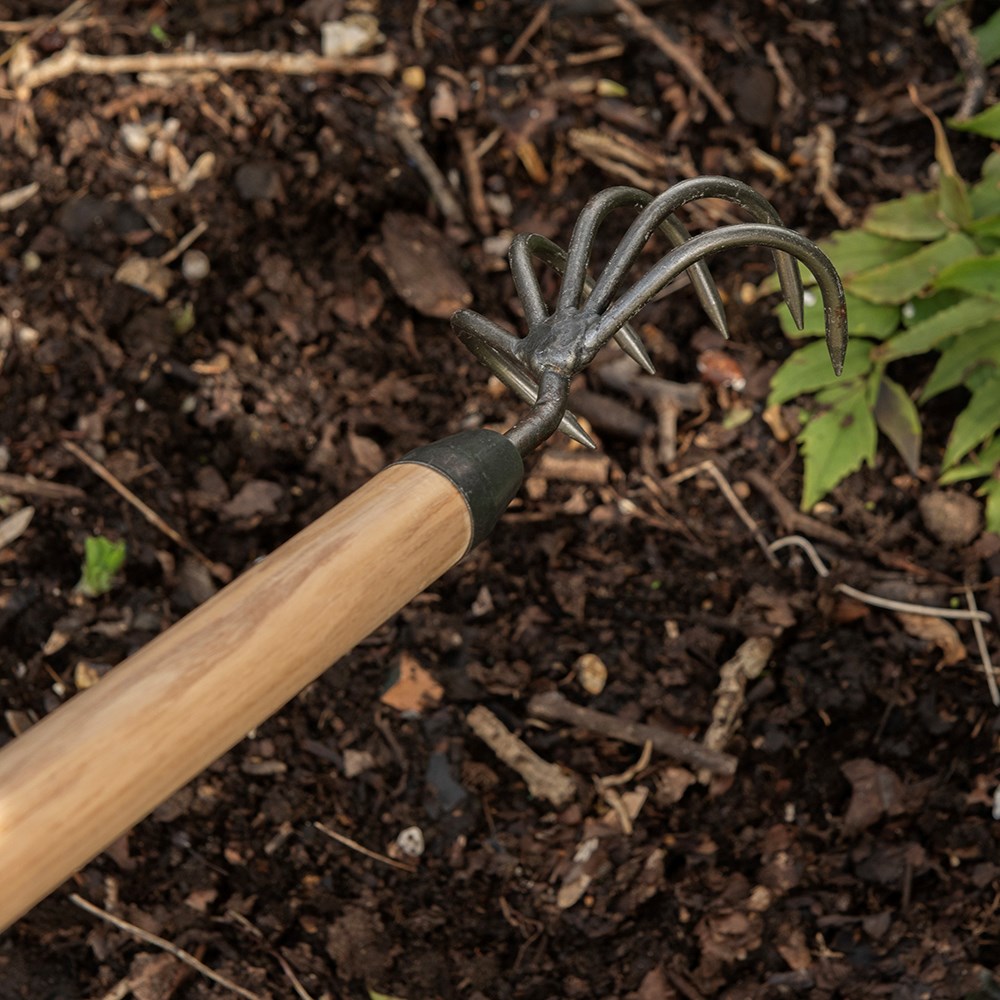 DeWit 5 tine cultivator - long handle